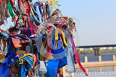 Multi-colored ribbons tied on the tree Stock Photo