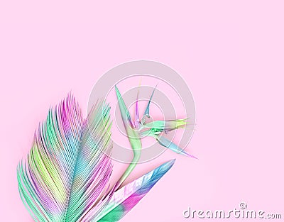 Multi colored tropical flower and leaves. Stock Photo