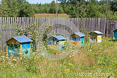 Multi-colored wooden beehives Stock Photo