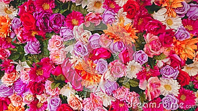 Multi Colors Pink Purple Red Yellow Flowers Background Stock Photo