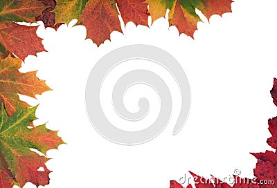 Multi coloured Autumn leaf frame Stock Photo