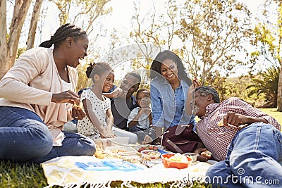 Multi Generation Family Enjoying Picnic In Park Together Stock Photo