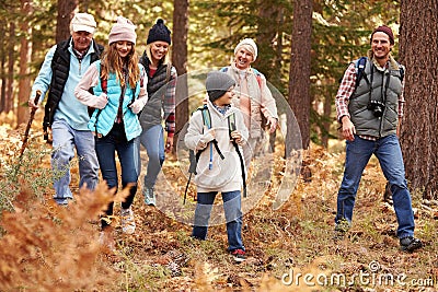 Multi generation family hiking in a forest, California, USA Stock Photo