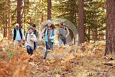 Multi generation family hiking in a forest, kids running Stock Photo