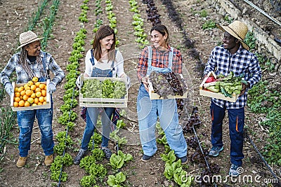 Multi generational farmer team holding wood boxes with fresh organic vegetables - Focus on faces Stock Photo