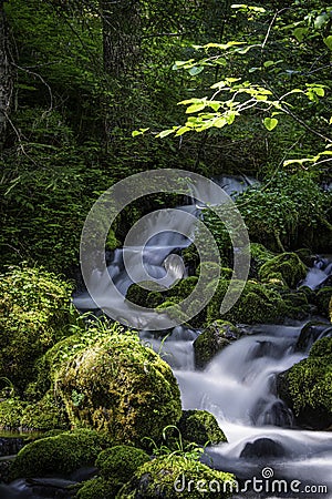 Multi Terraced Falls Dropping Down The Hillside Stock Photo