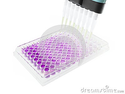 Multichannel pipette test sample on 96 wells Stock Photo