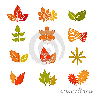 Multicolor autumn leaves flat vector icons. Fall feuille leaf collection Vector Illustration