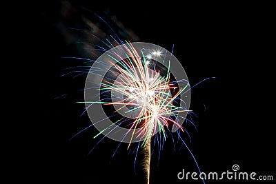 Multicolor palm shaped firework Stock Photo