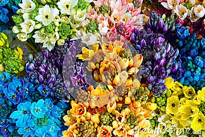 Multicolored Allium neapolitanum flowers of blue fuchsia pink orange yellow white colors in bouquets at florist shop Stock Photo