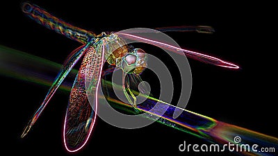 Multicolored dragonfly on a branch, macro photo of this elegant and fragile predator, digital neon light effect, black background Stock Photo