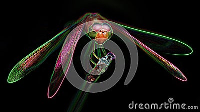 Multicolored dragonfly on its perch, macro photo of this gracious and fragile predator, digital neon light effect Stock Photo