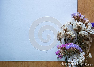 Multicolored dried flowers on wooden background, colorful limonium statice plant with copy space, blank white paper with place for Stock Photo