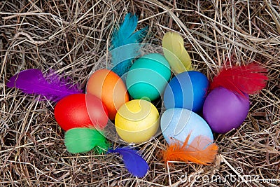 Multicolored eggs with colorful feathers in a nest with a note mock up, top view. Concept easter Stock Photo