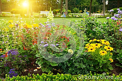 Multicolored flowerbed in park Stock Photo