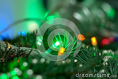 Christmas garland on Christmas tree Stock Photo