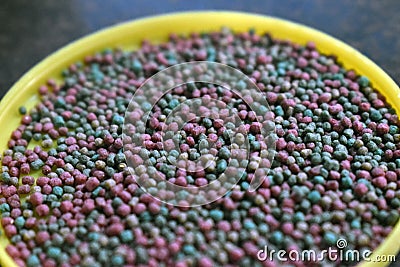 Multicolored granular fish food for service feeding aquarium pets. Animal care or pet zoo concept Stock Photo