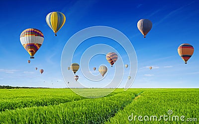 Hot air balloons fly in blue sky over green field. Beautiful summer sunny day, windless weather Stock Photo