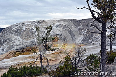 Multicolored limestone deposits in Mammoth Hot Springs in Yellowstone park Stock Photo