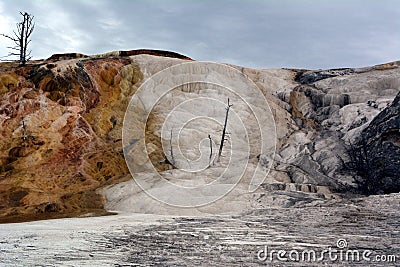 Multicolored limestone deposits in Mammoth Hot Springs in Yellowstone park Stock Photo