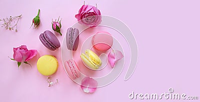 Multicolored macaroon, french holiday elegant rose flower on a colored background Stock Photo