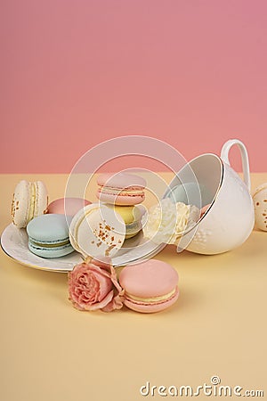 Multicolored macaroons cake are placed in a saucer and a cup along with buds of a carnation and roses on a yellow and pink Stock Photo