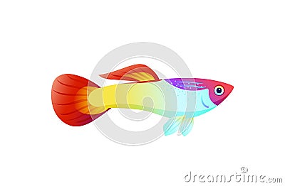 Multicolored Marine Fish Isolated on White Poster Vector Illustration