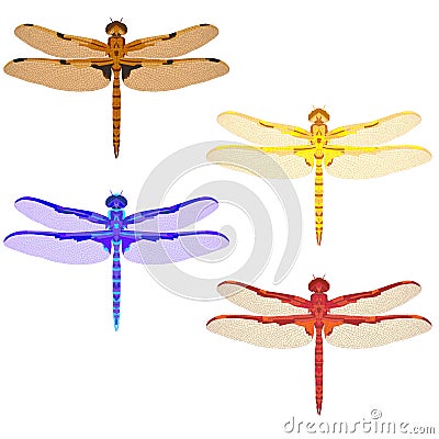Multicolored mosaic set with dragonflies. isolated. Vector Illustration