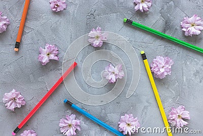 Multicolored pencils and spring or summer flowers Stock Photo
