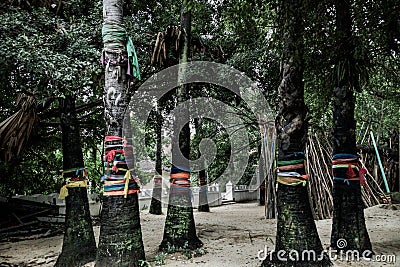 Multicolored ribbons wrapped around holy and sacred trees near buddhist temple in Thailand Stock Photo