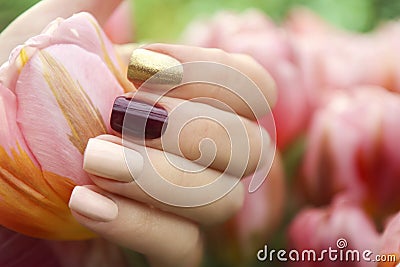 Multicolored short manicure with a brilliant golden, dark burgundy and pastel light nail polish Stock Photo