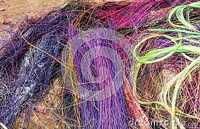 Raw sisal fibres dyed for weaving Stock Photo