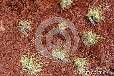 Multicolored soil of mercury occurrence in Altai steppe Stock Photo