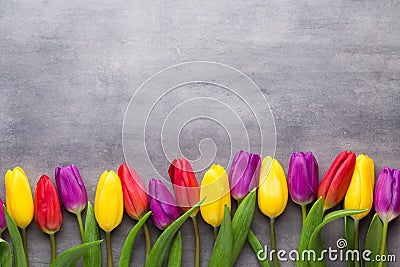 Multicolored spring flowers, tulip on a gray background. Stock Photo