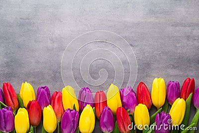 Multicolored spring flowers, tulip on a gray background. Stock Photo