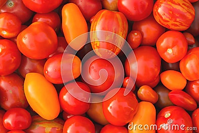 Multicolored tomatoes of different shapes, texture, background Stock Photo