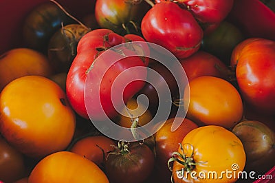 Multicolored tomatoes homemade tomatoes homemade top view Stock Photo