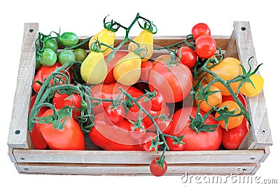 Multicolored Tomatoes in Wooden Box Stock Photo