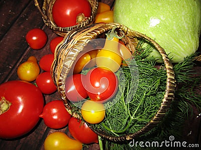 Multicolored tomatoes and zucchini Stock Photo