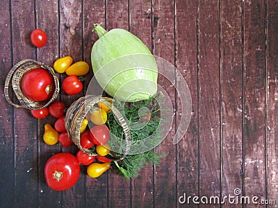 Multicolored tomatoes and zucchini Stock Photo