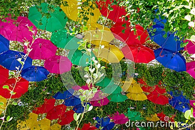 Multicolored umbrellas park decorative design Editorial Stock Photo