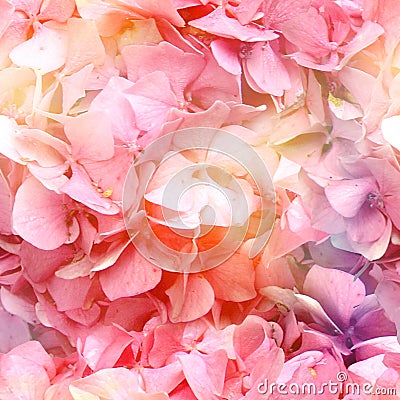 Multicolour All over Blossom Print Stock Photo