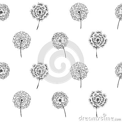 Multiple black outlined dandelions in rows on white background Stock Photo