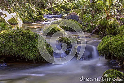 Multiple exposure of different spots of a ravine III Stock Photo