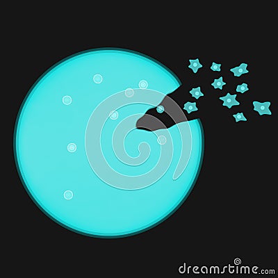 Multiple fission in ameoba Stock Photo