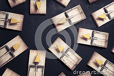 Multiple mouse traps with cheese Stock Photo