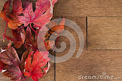 Multiple Red Maple Leafs on Maple Flooring Stock Photo