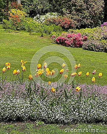 Multiple species of trees, flowers and bushes in the Gardens of the Villa Carlotta in Tremezzo. Stock Photo