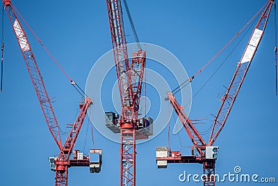 Multiple tower cranes above a concrete structure Stock Photo