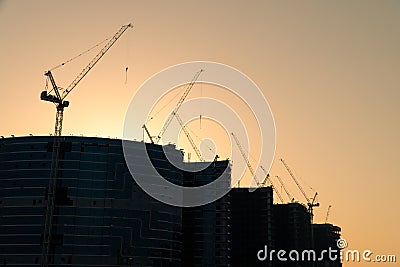 multiple tower cranes at dusk Stock Photo